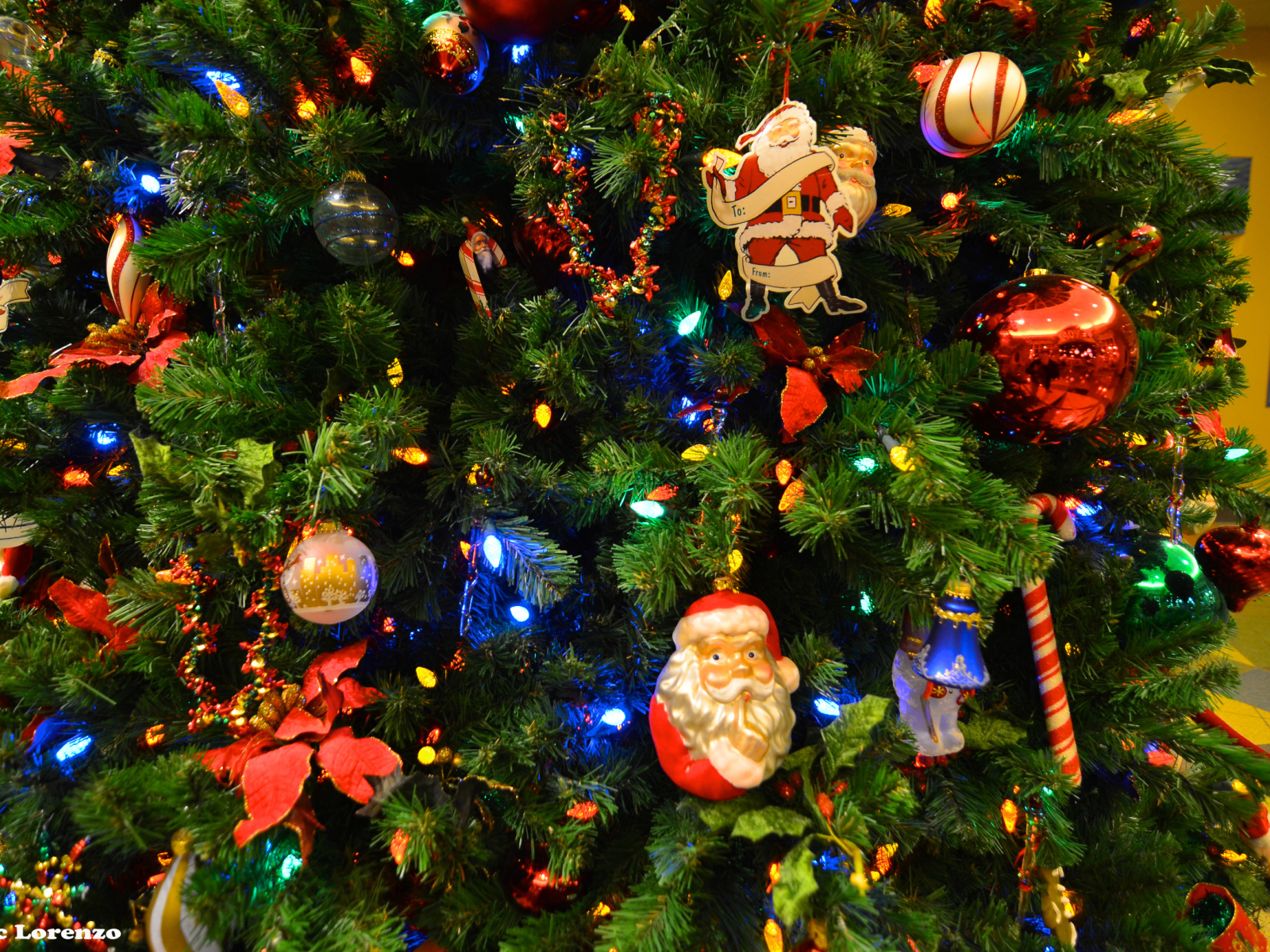 Новогодняя елка с Дедом Морозом