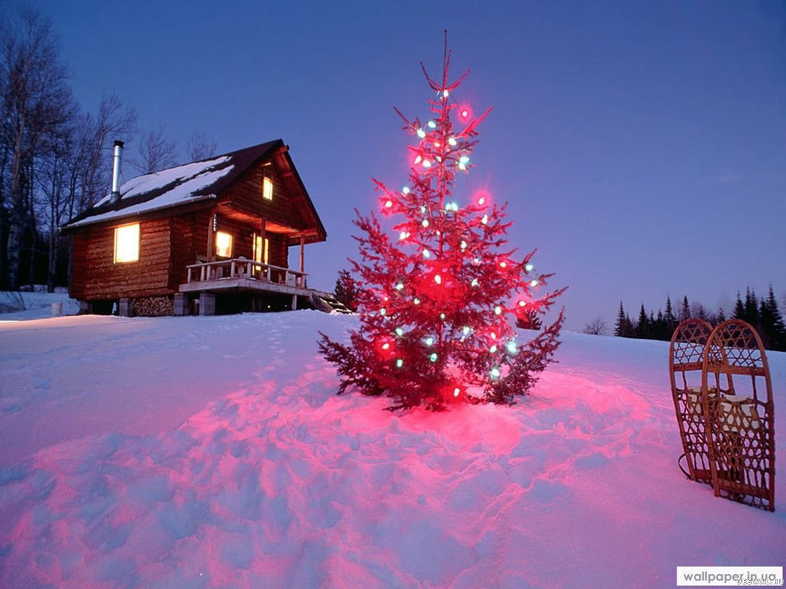 Колючии иголки на новогодней елке