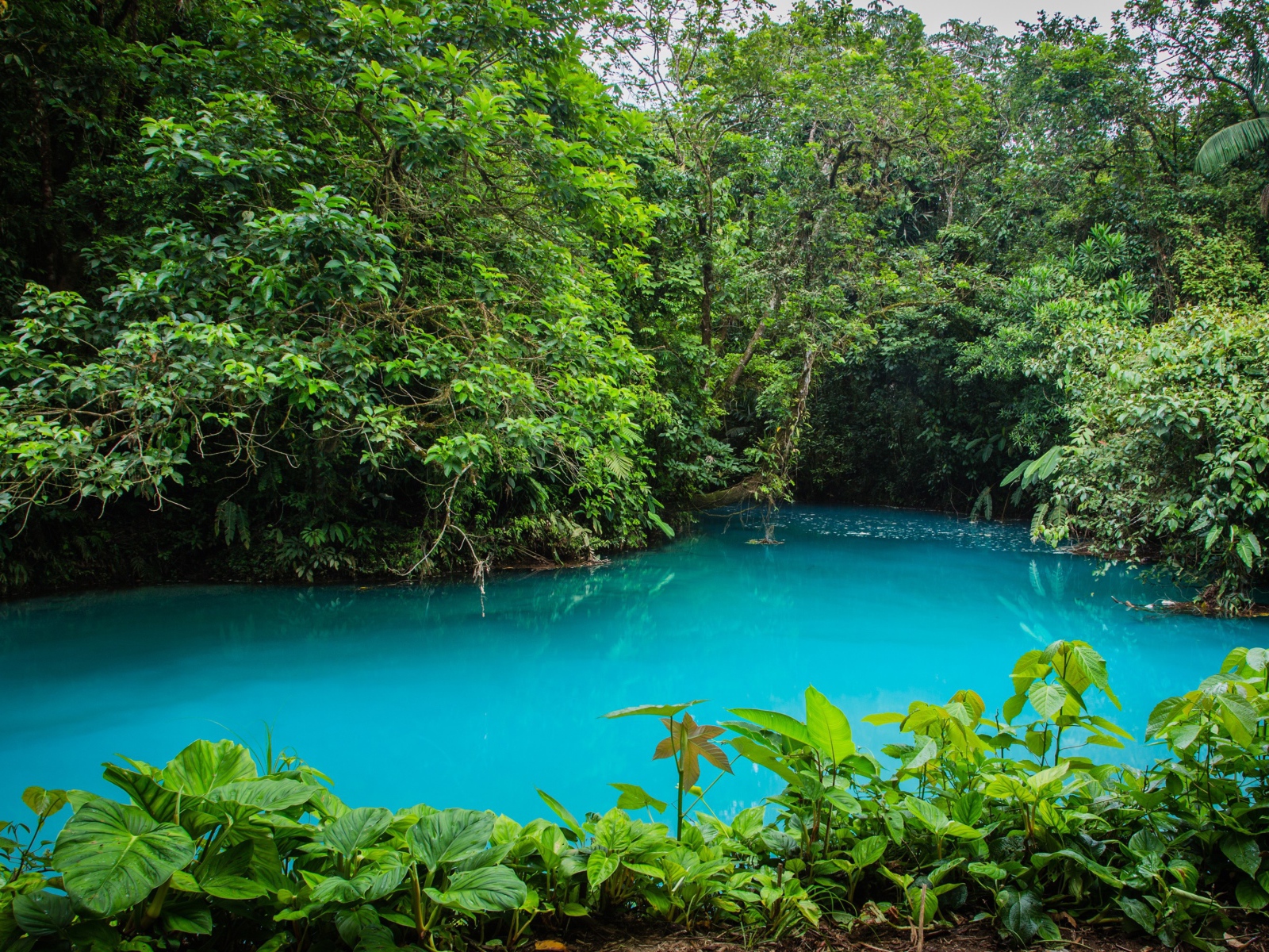 Национальный парк в Коста Рика