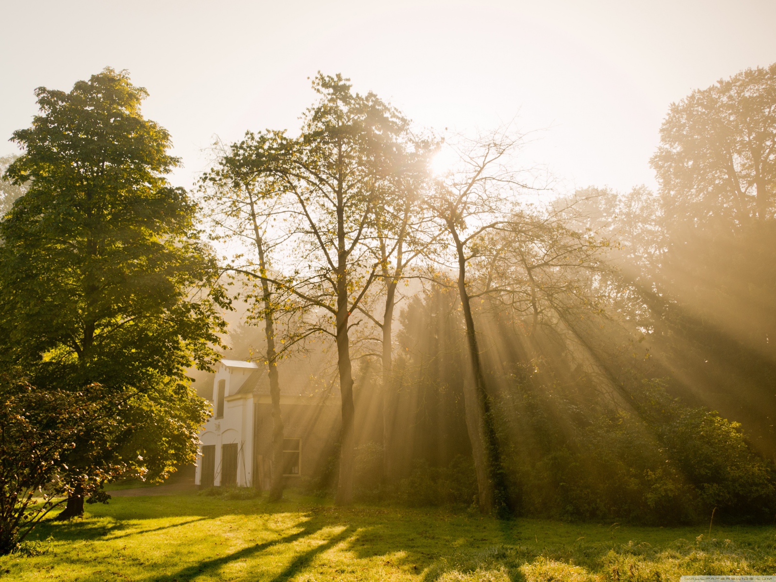 Солнце над Амстердамом