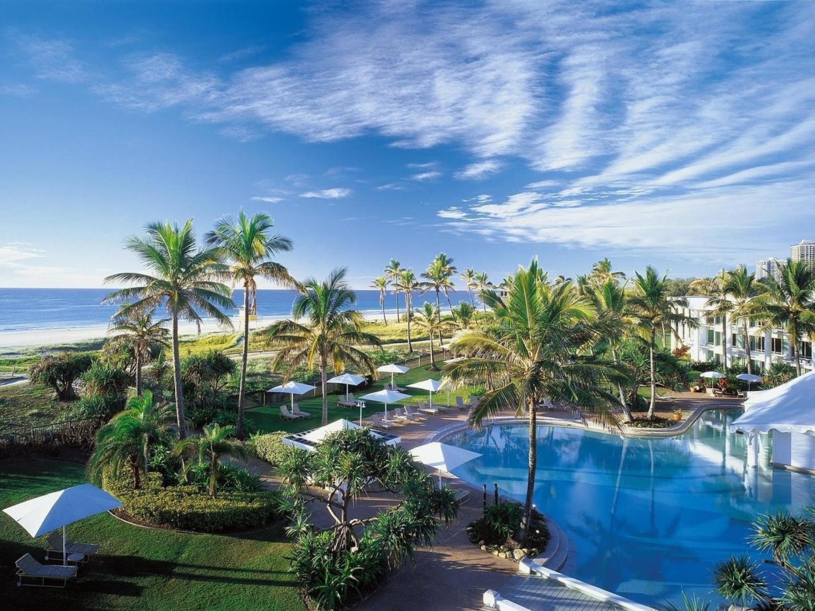 Отдых у моря под пальмами