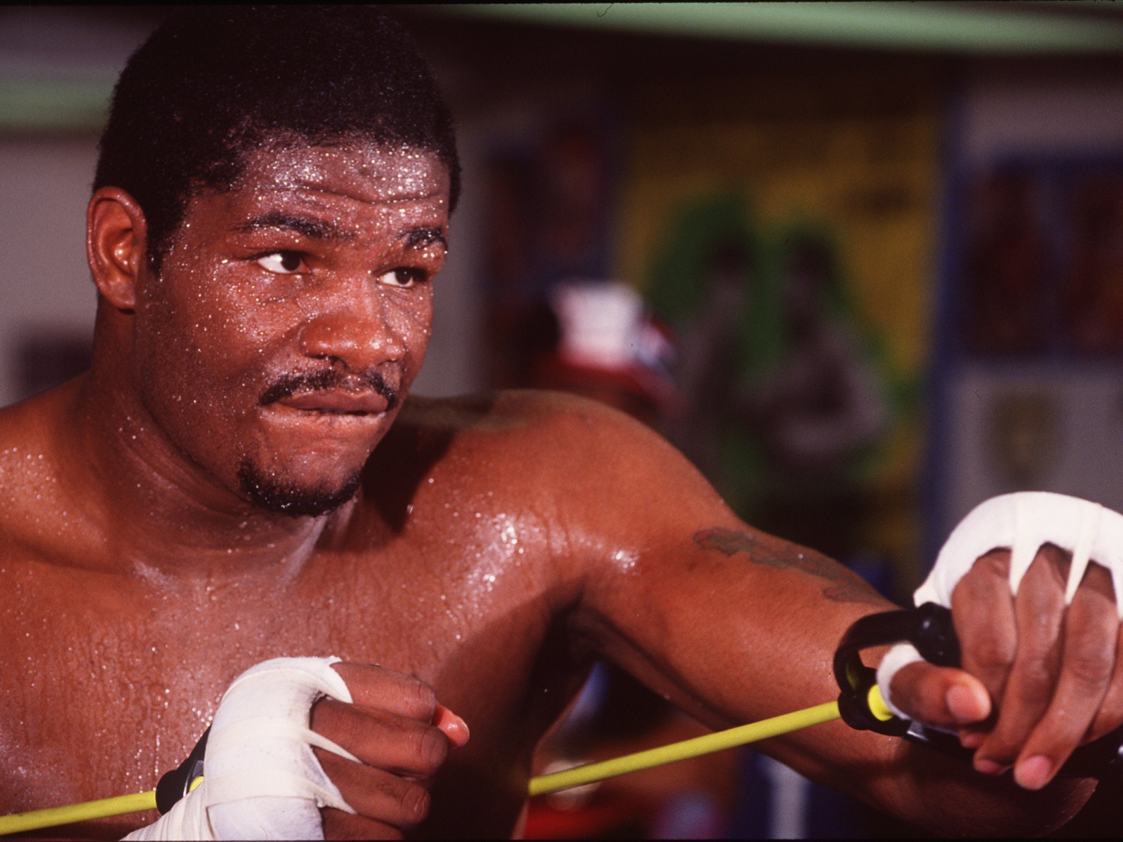 Боксер Риддик Боу