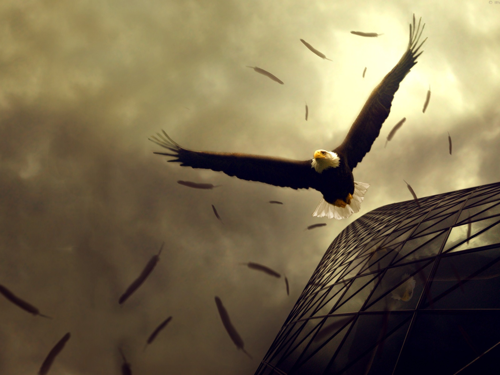 Полет орлов