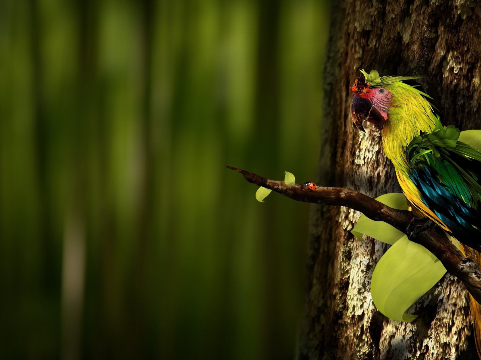 Попугай на ветке