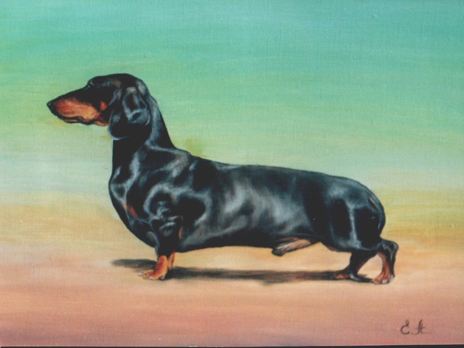 Картина с таксой