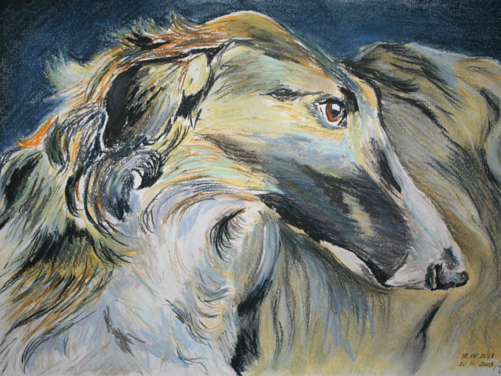 Русская борзая на рисунке