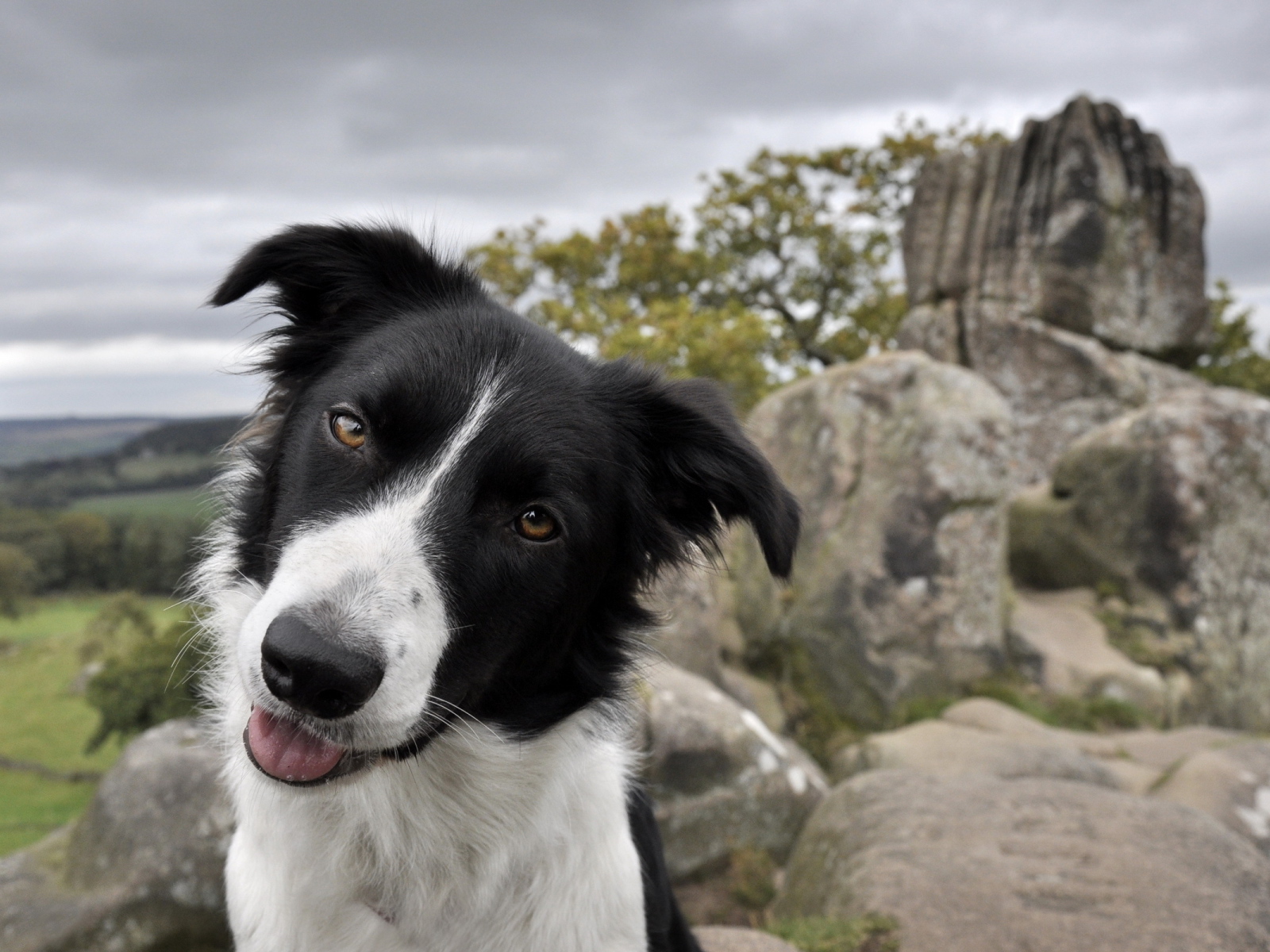 Дружелюбный взгляд