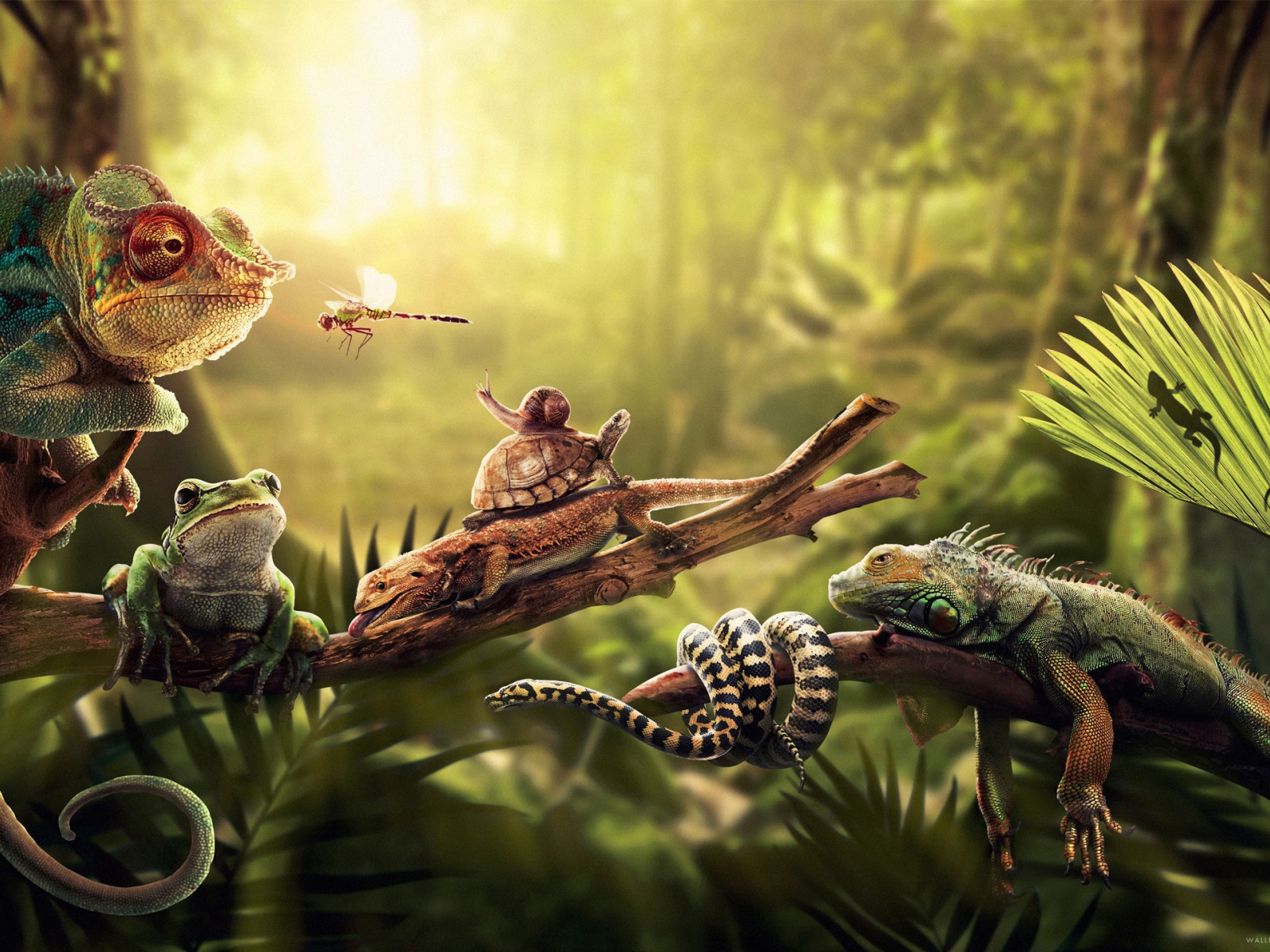 Насекомые ящерицы и змеи
