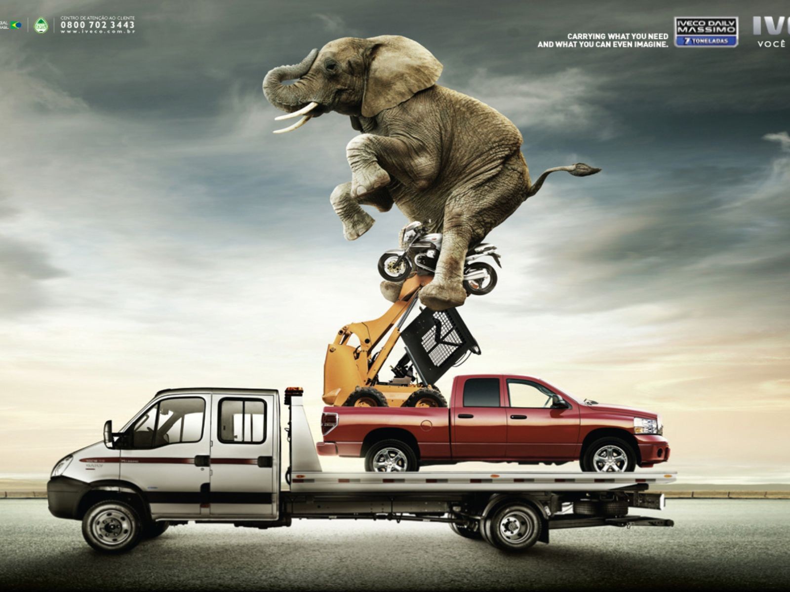 Слон на автомобиле