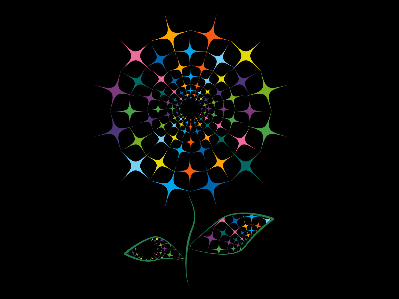 Красочный цветок на черных обоях