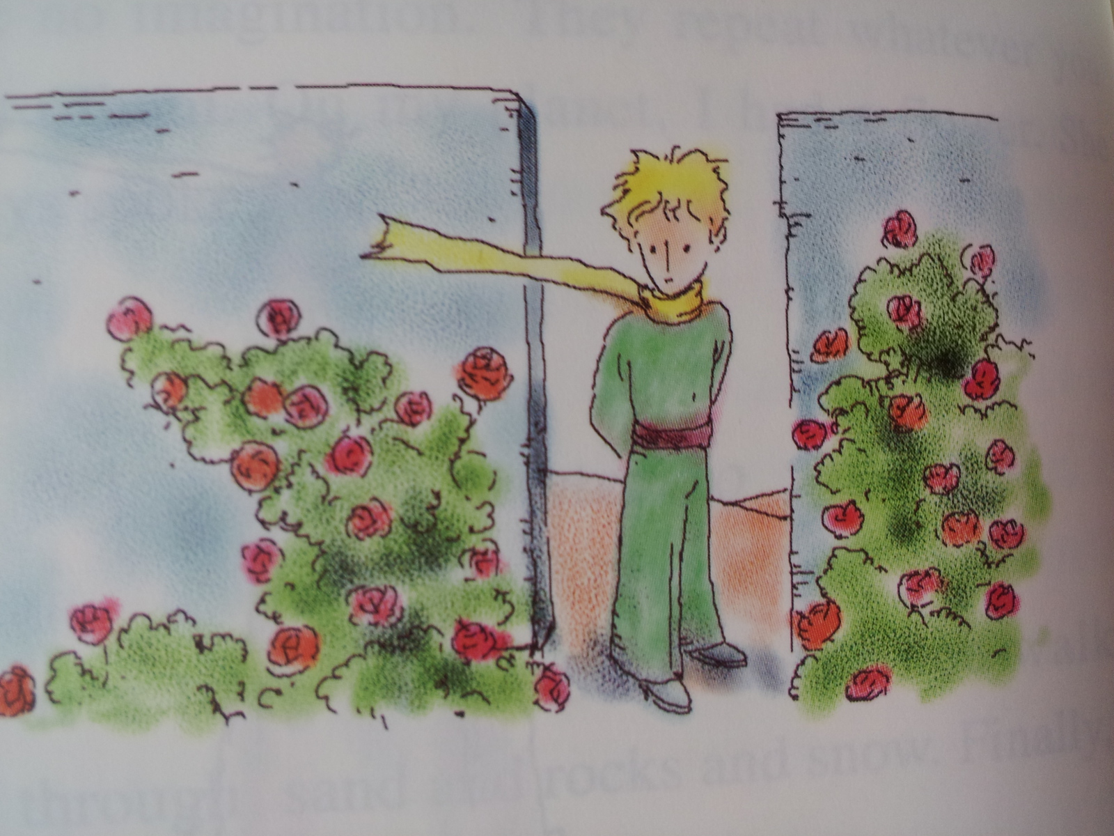 Книга о приключениях маленького принца