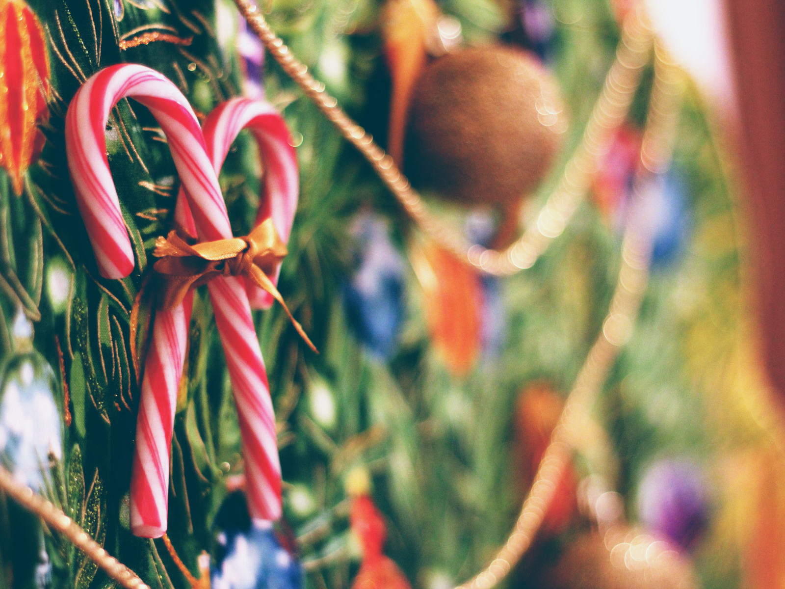 Леденцы на Рождество