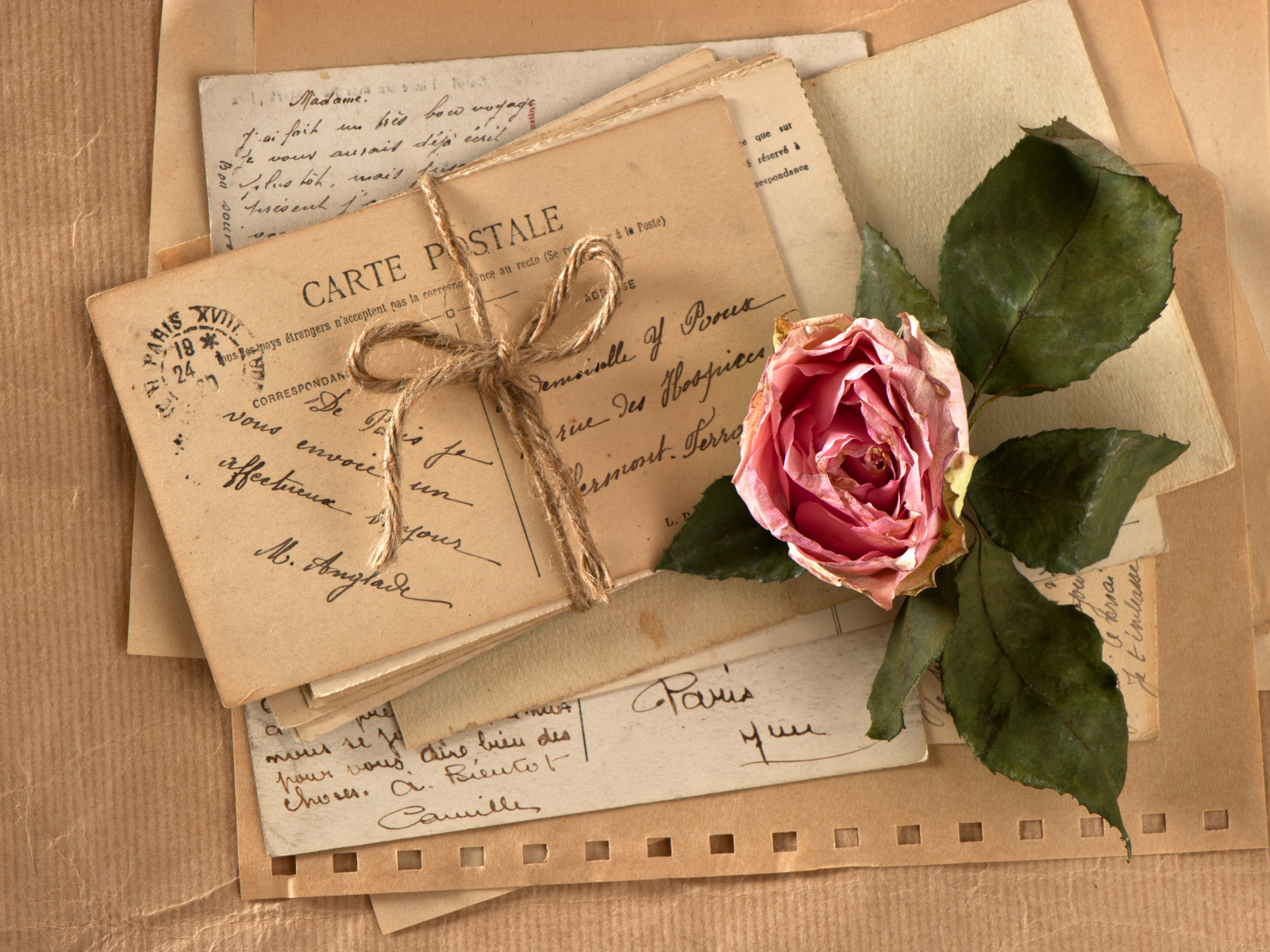 Засохшая роза на старой открытке