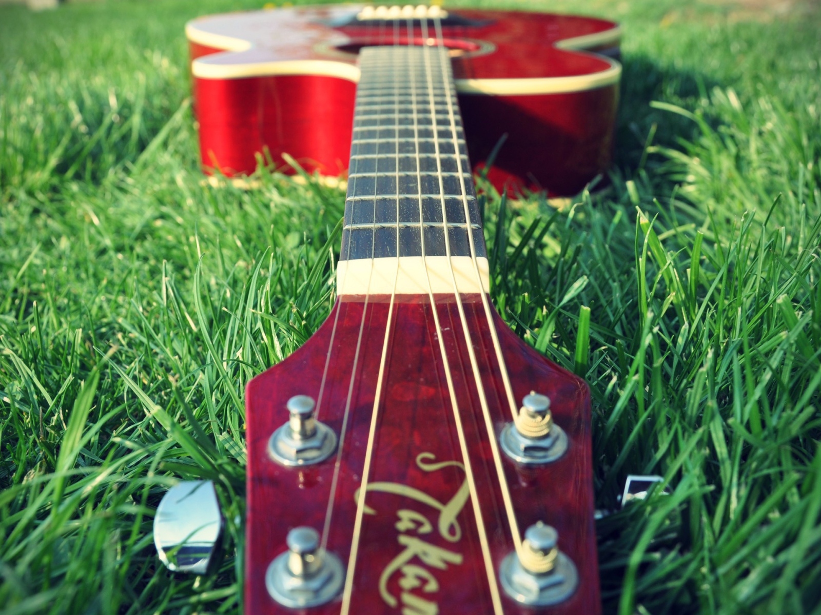 Гитара на траве