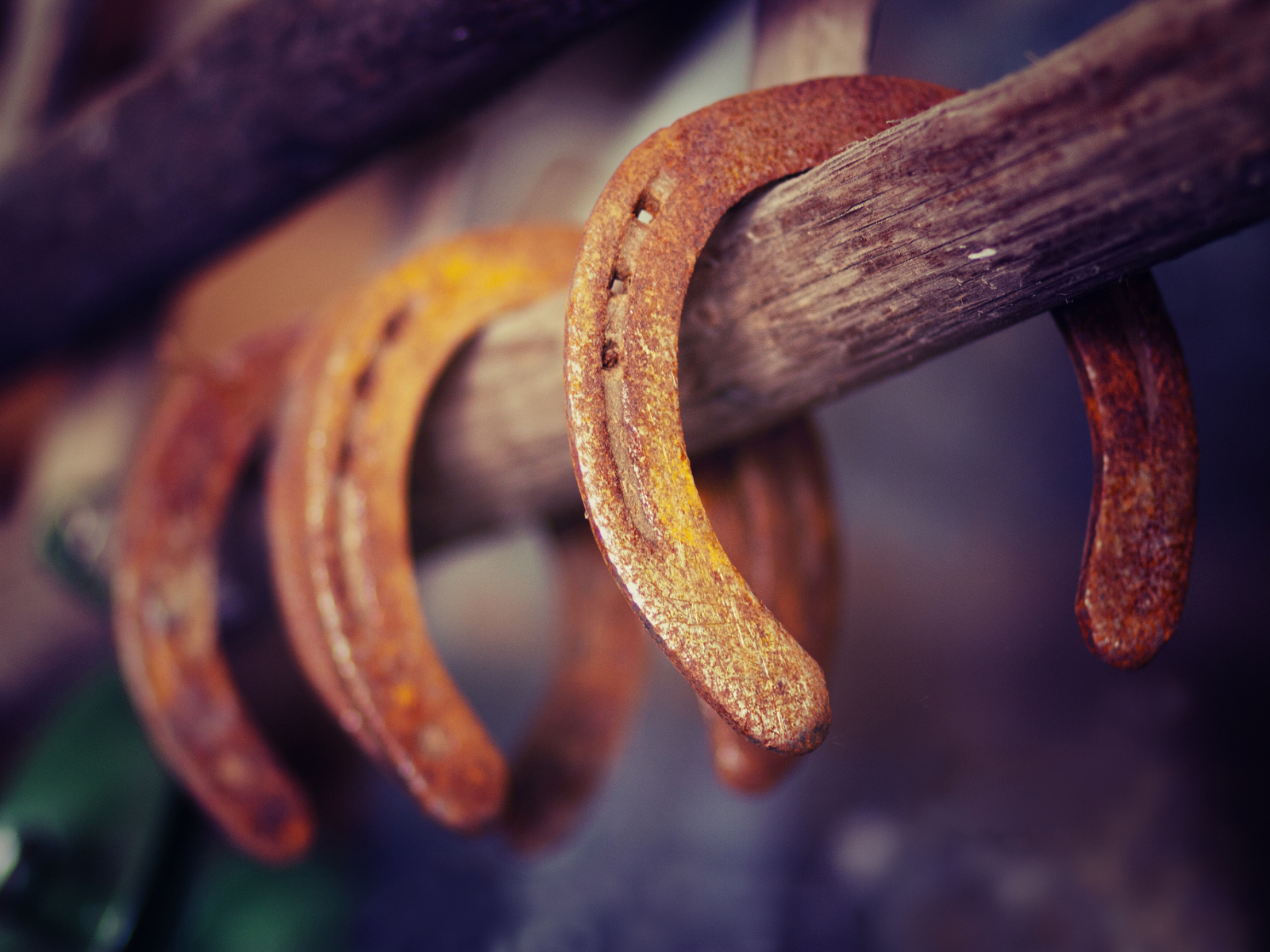 Ржавые подковы