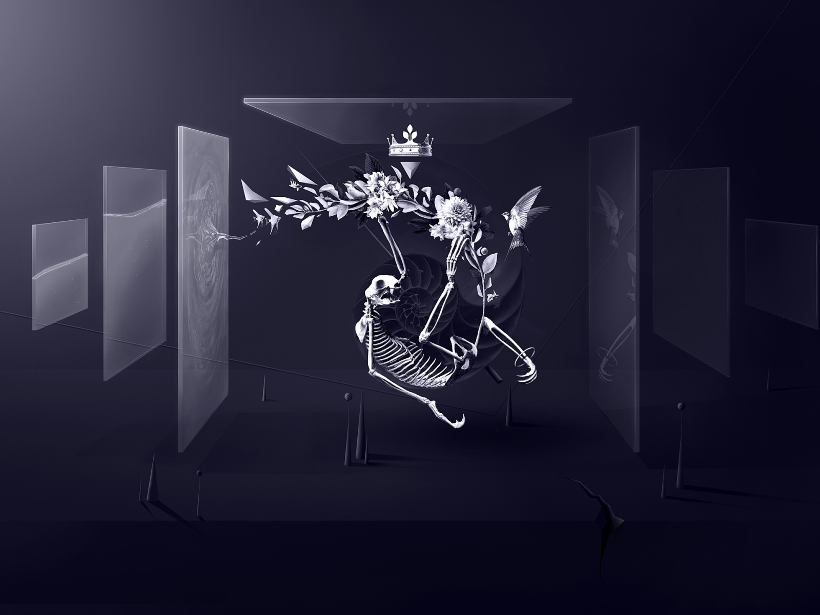 Скелет между стеклами