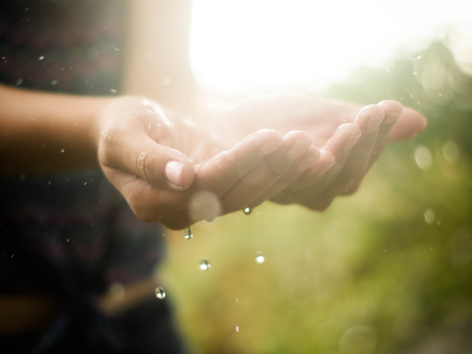 Ладони с водой