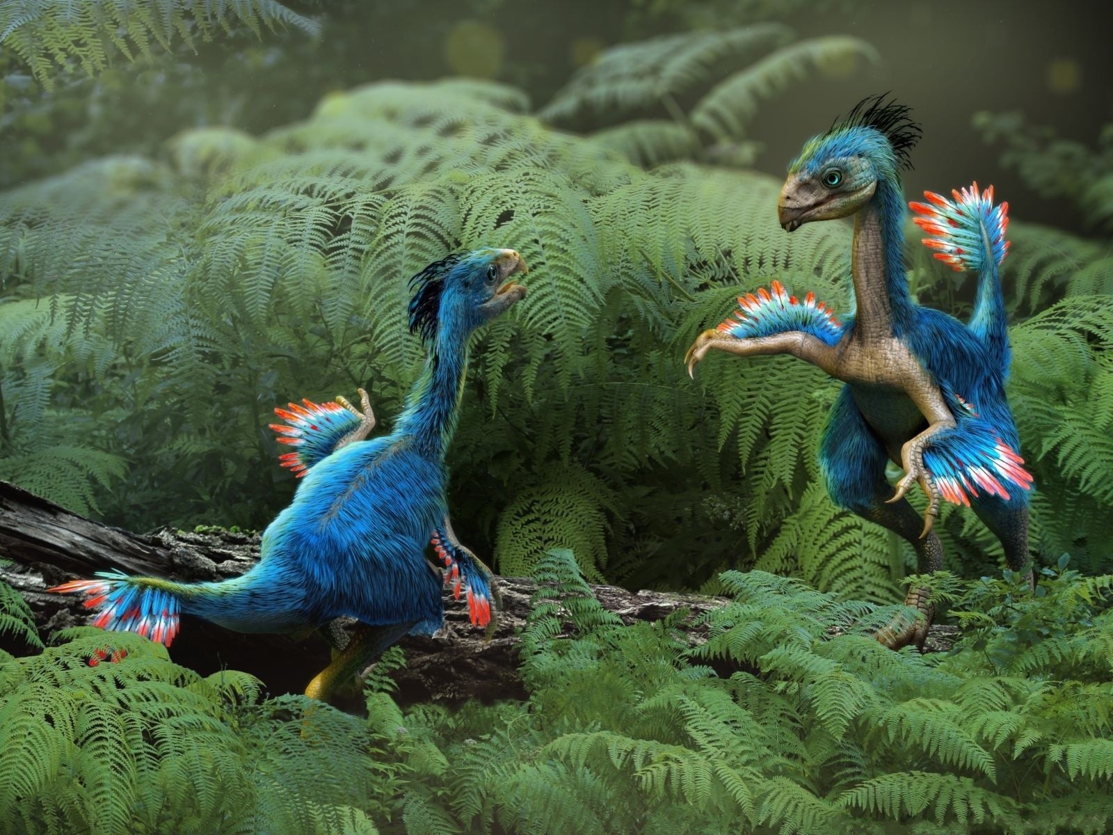 Фантастические животные