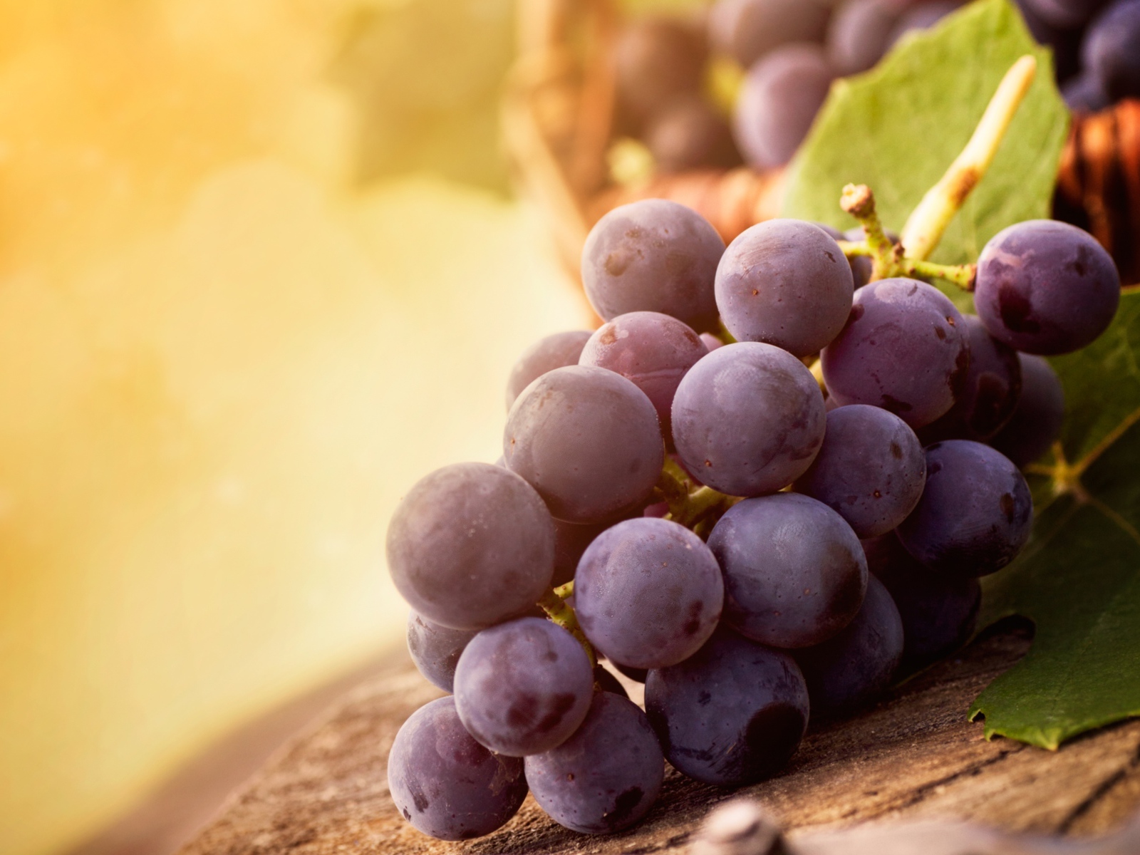 Гроздь красного винограда