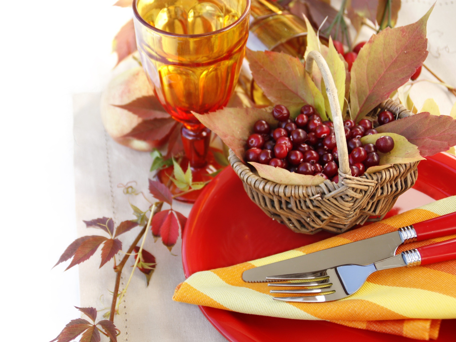 Ягоды рябины в корзине