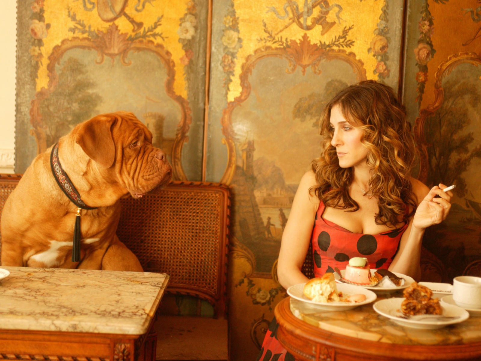 Собака просит еще еды