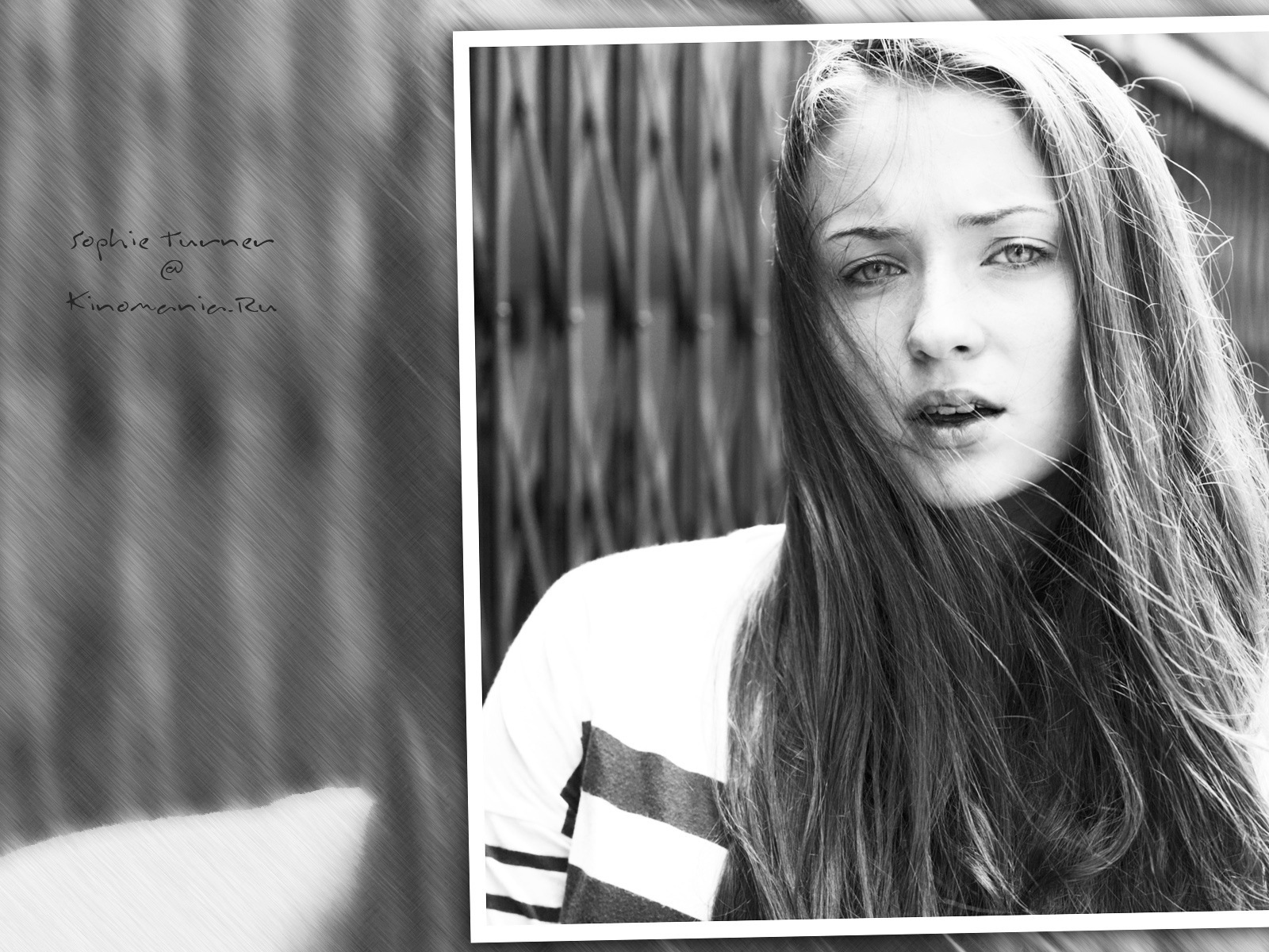 Известная звезда Софи Тернер