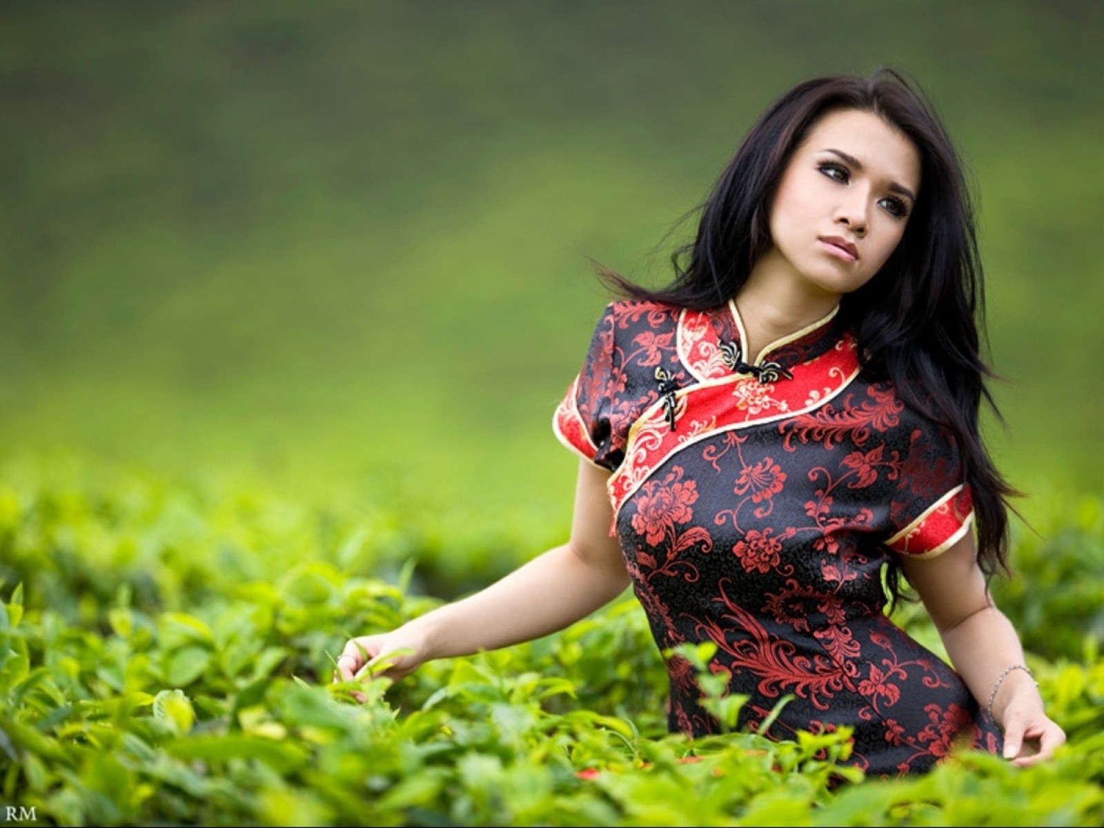 Девушка на чайной плантации