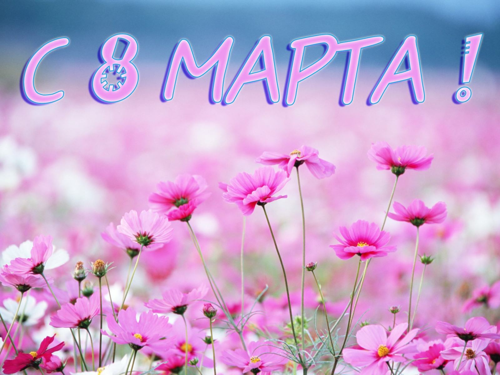 Луговые цветы на 8 марта