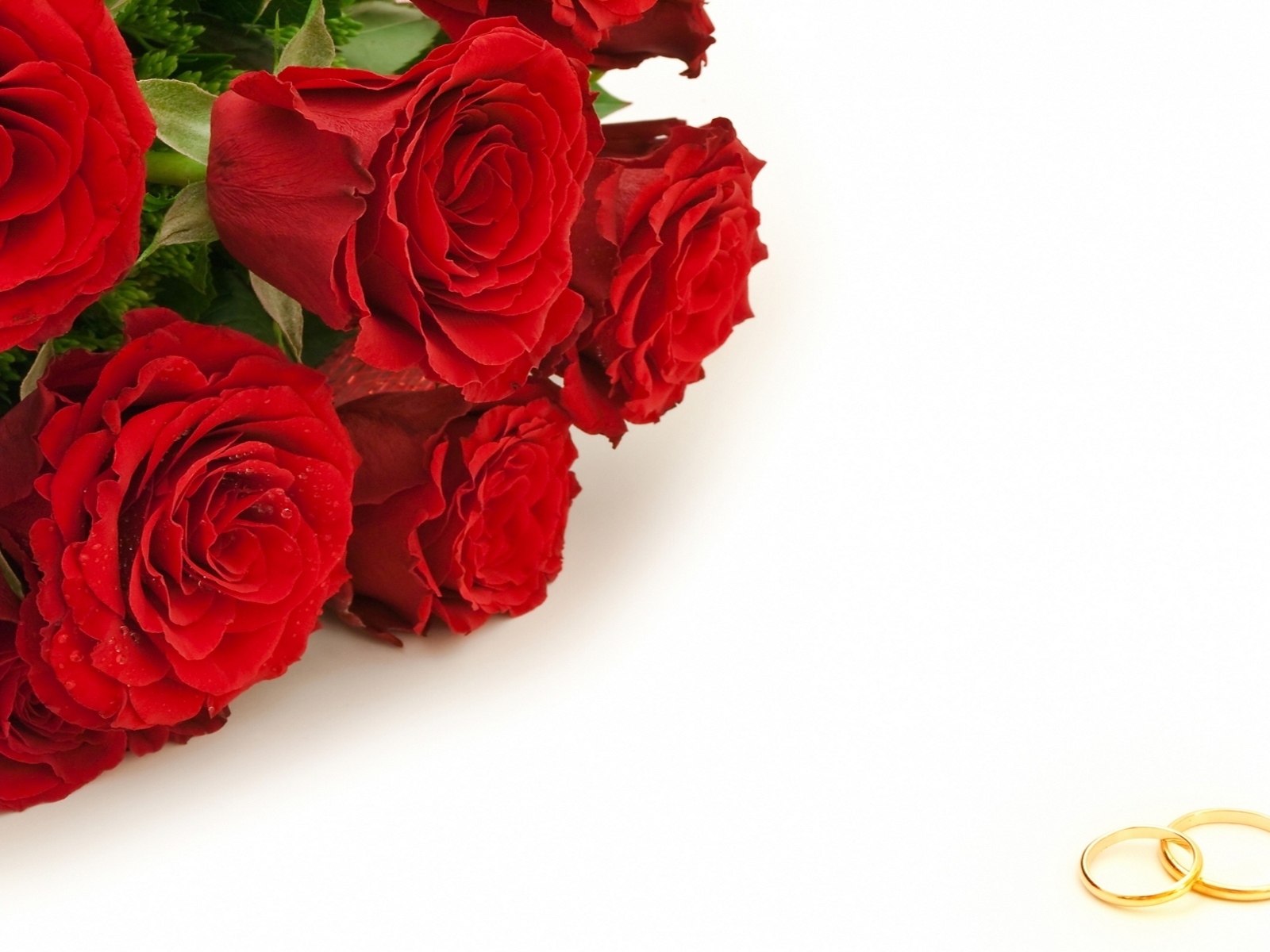Красные розы и золотые свадебные кольца