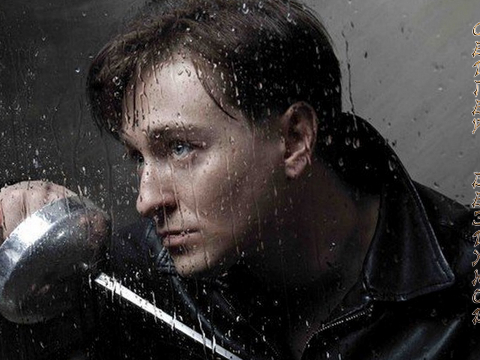 Знаменитость Сергей Безруков