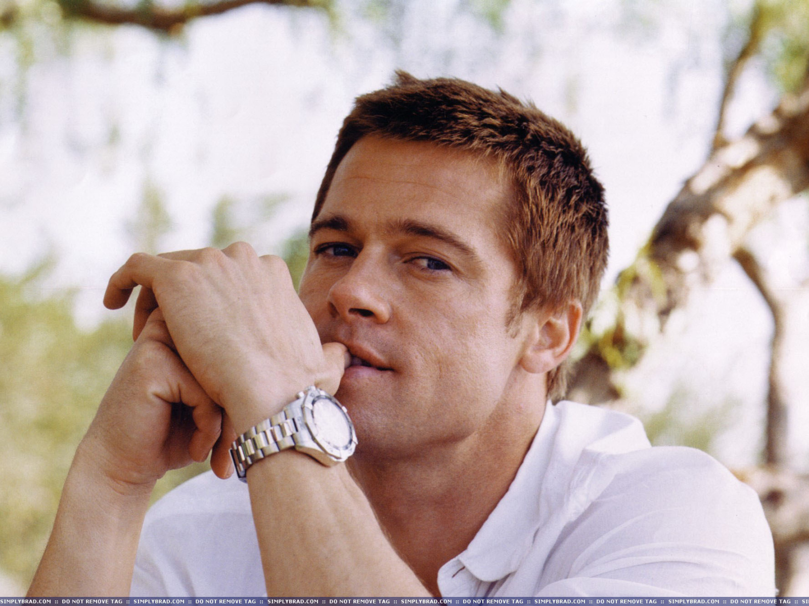 Возлюбленный киноактер Брэд Питт