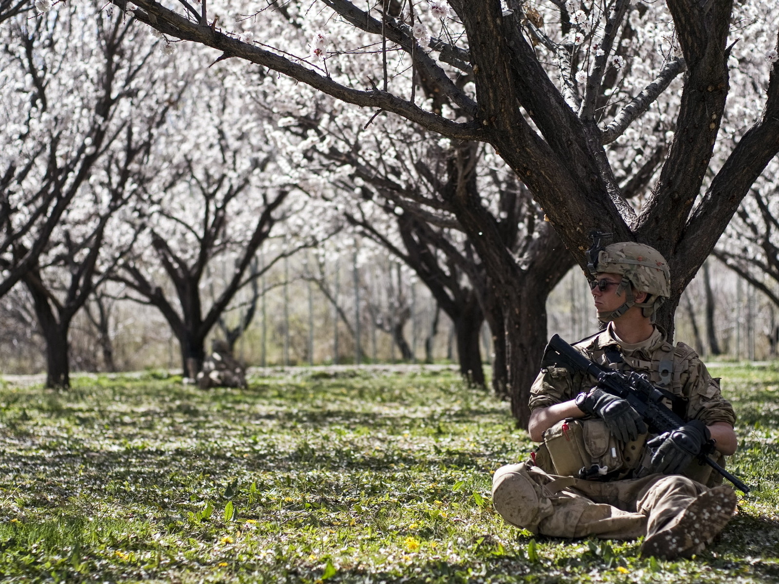 Солдат в цветущем саду