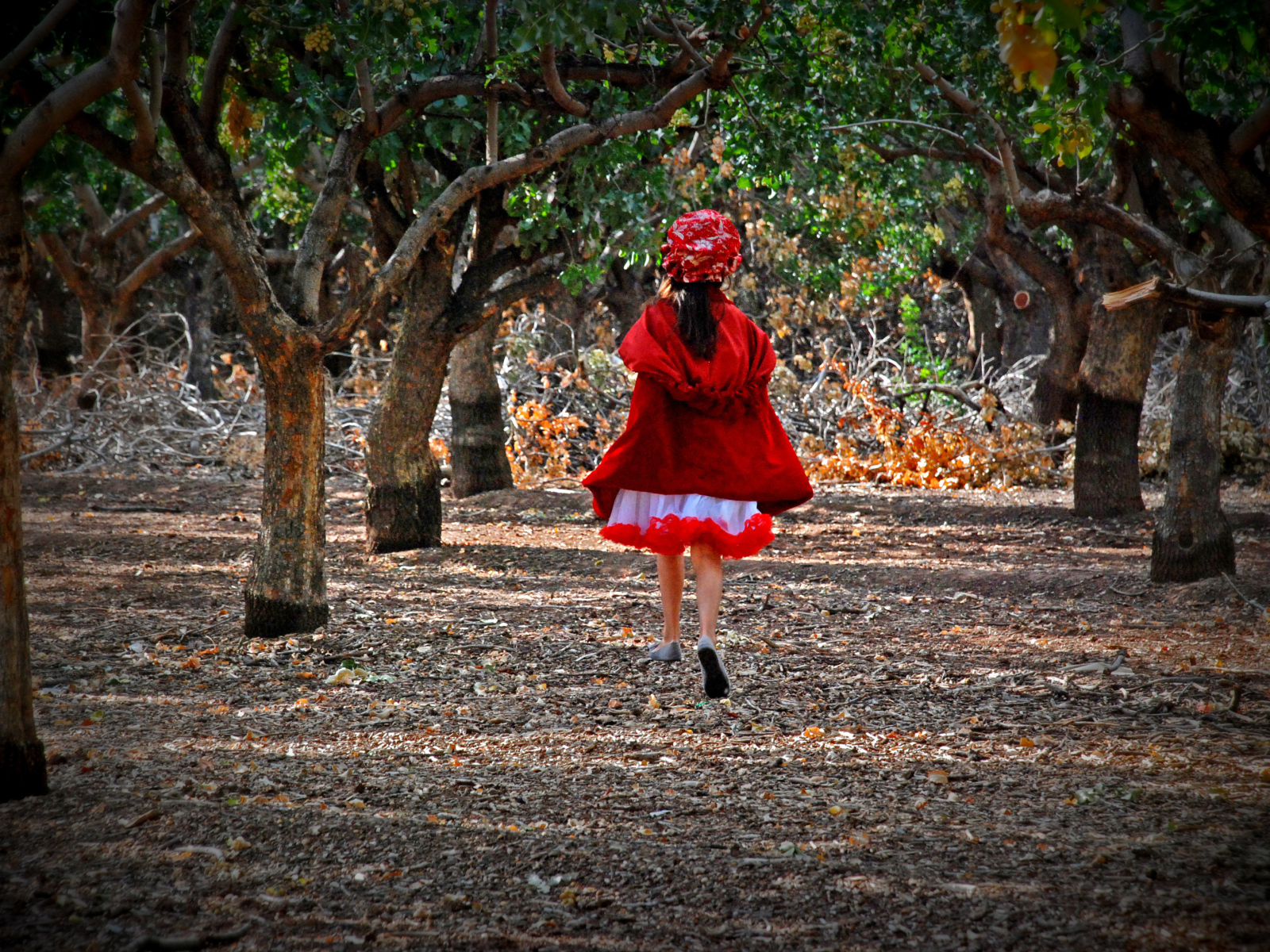 Фильм - В лес