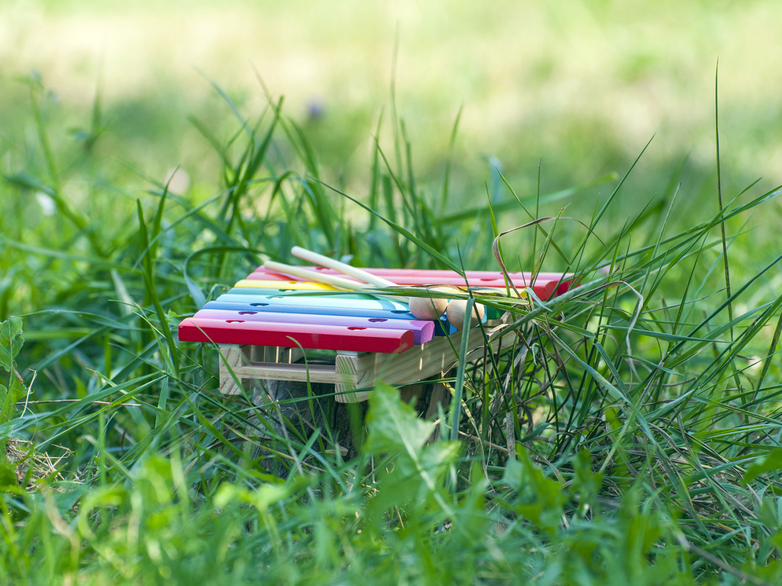 Музыкальный инструмент Маримба