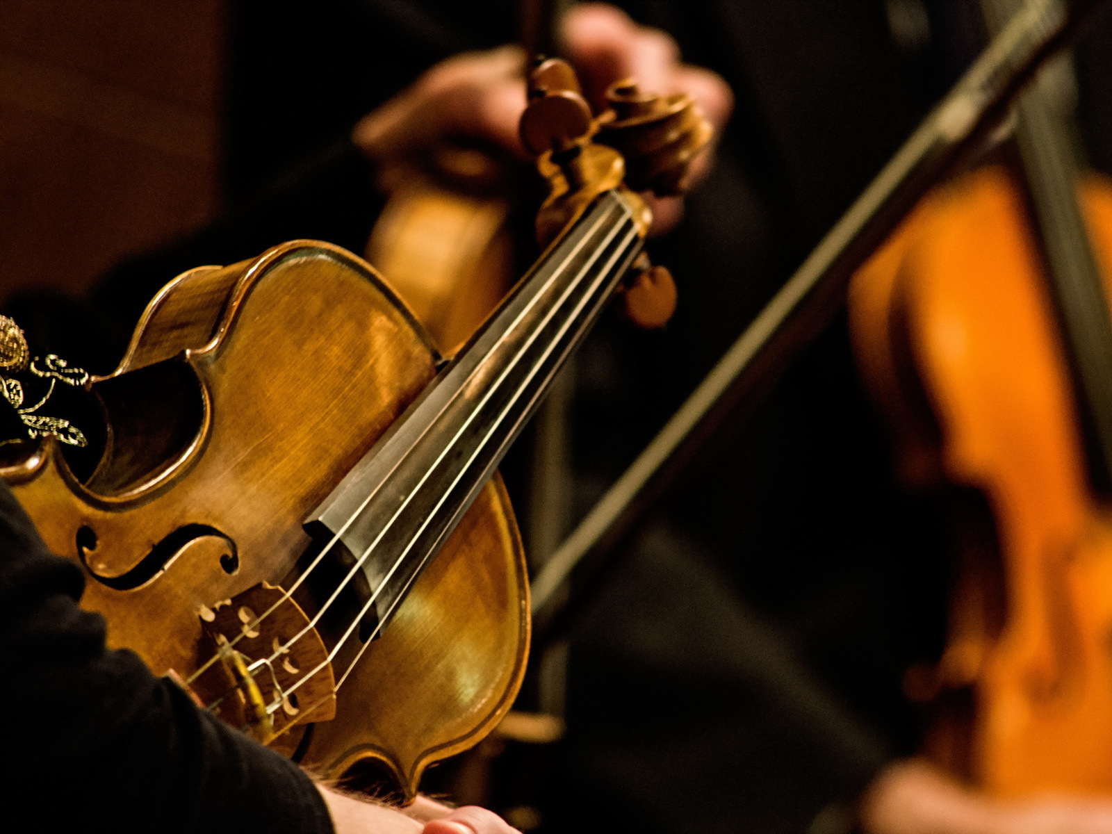 Струны скрипки