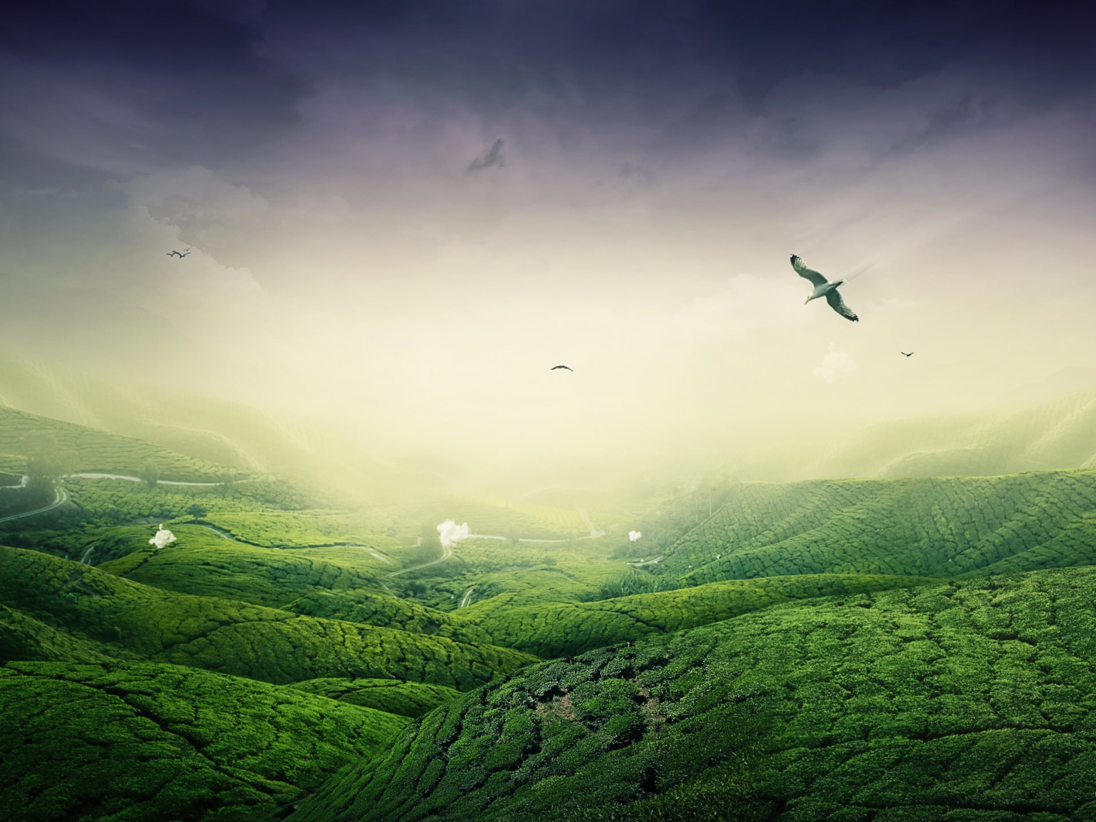 Зеленый пейзаж