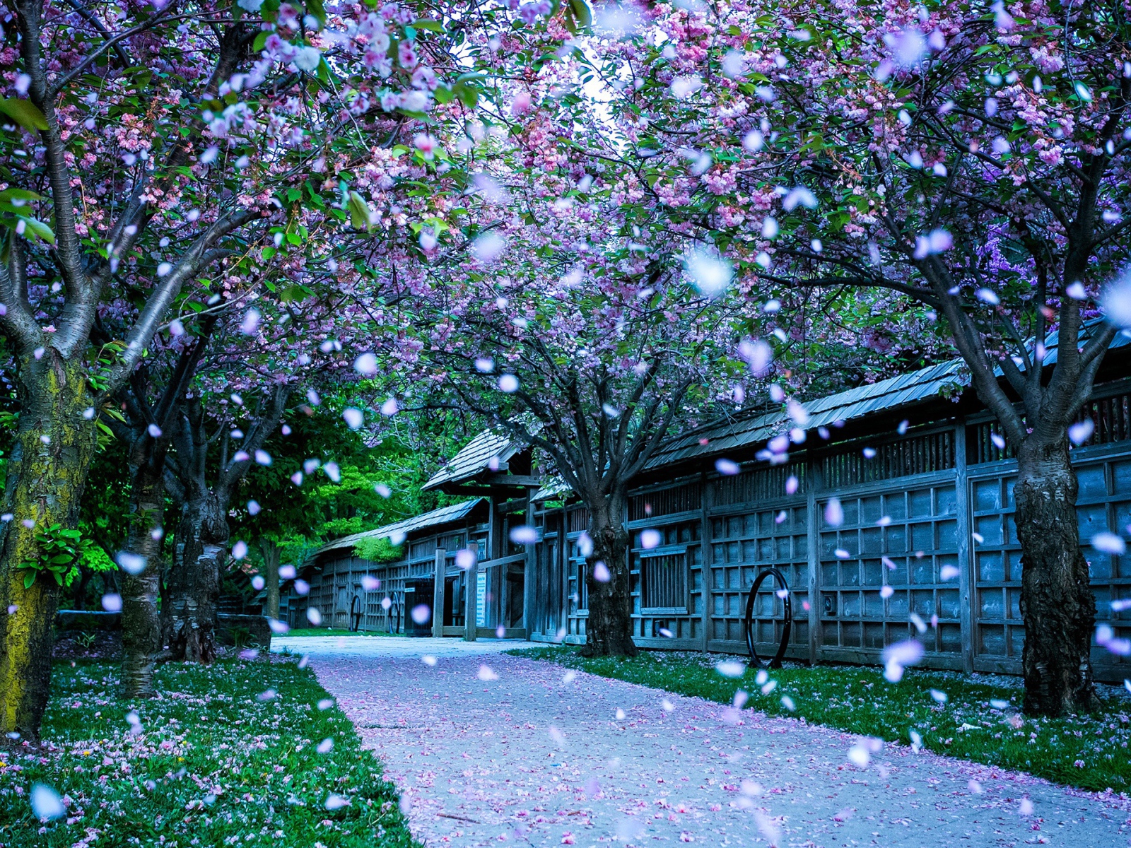 Парк в Канаде