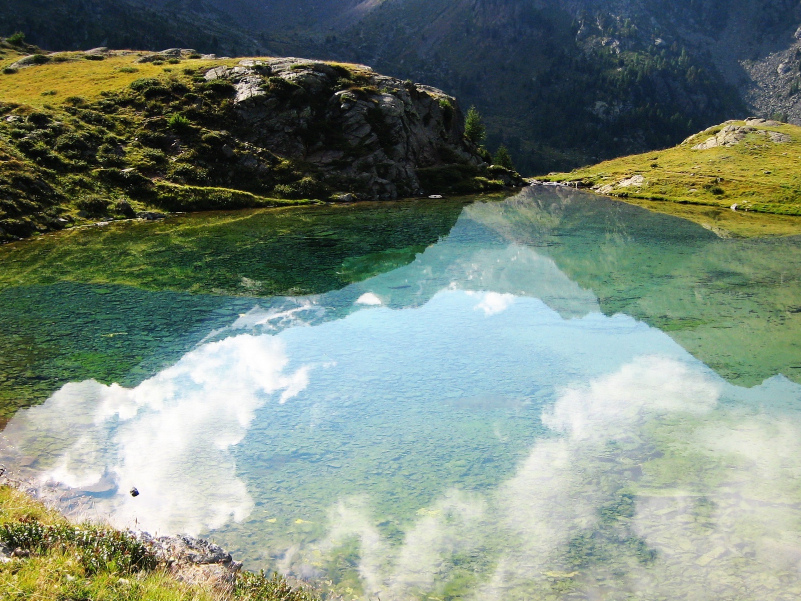 Размышления природы