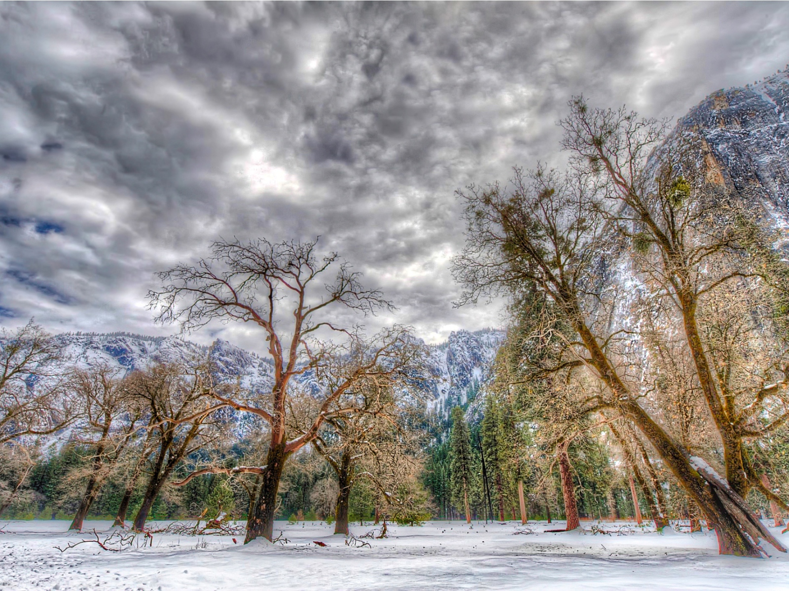 Зима в национальном парке