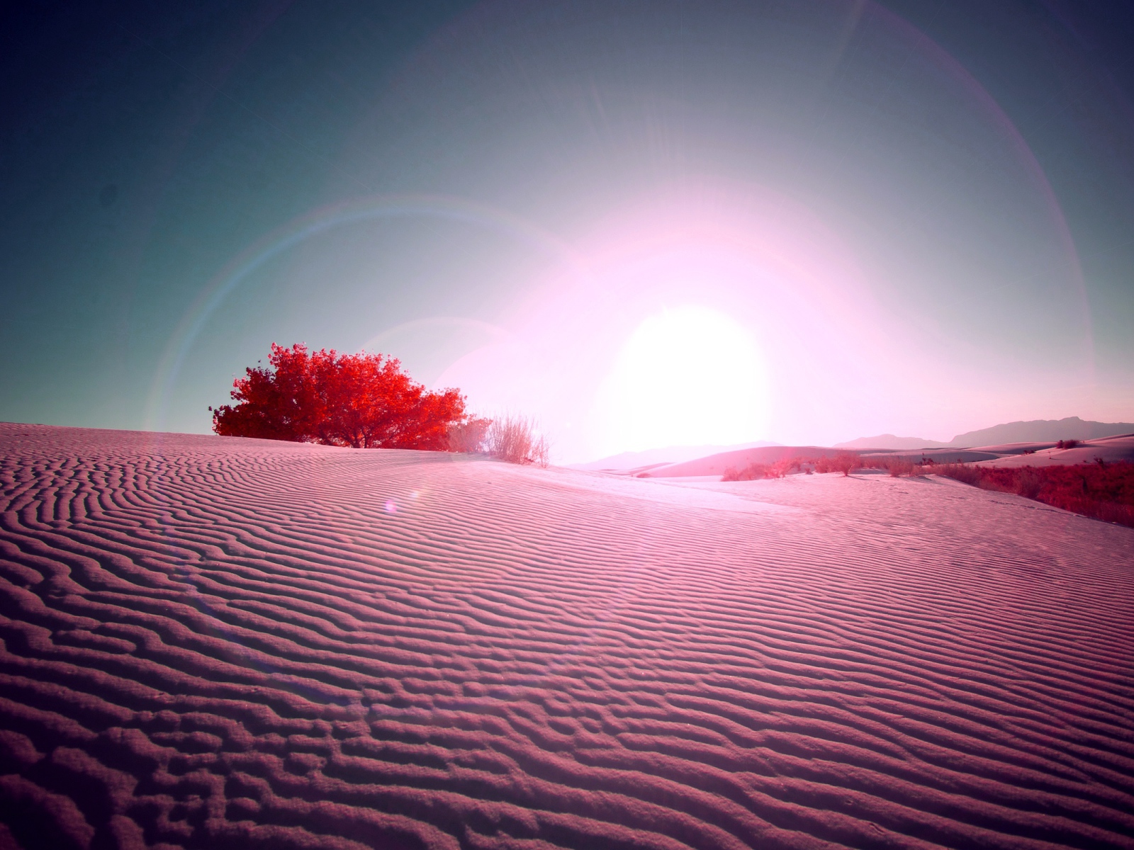 Вспышка в пустыне