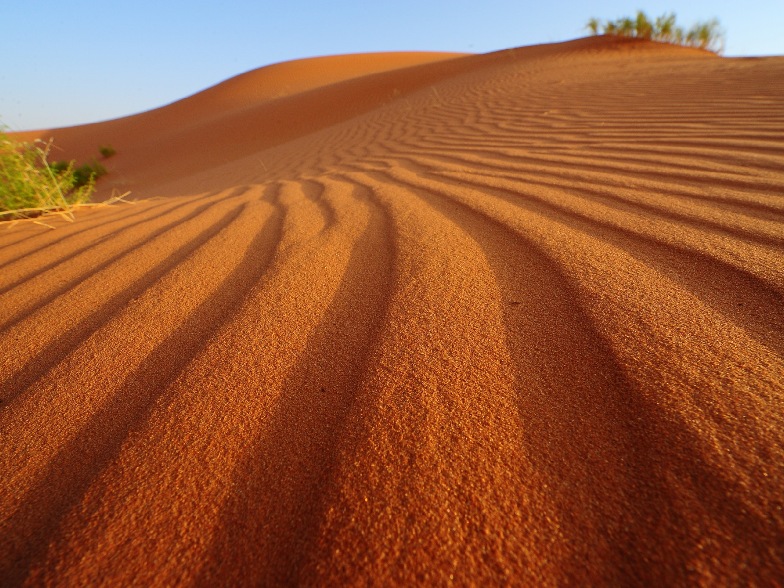 Волны на песке