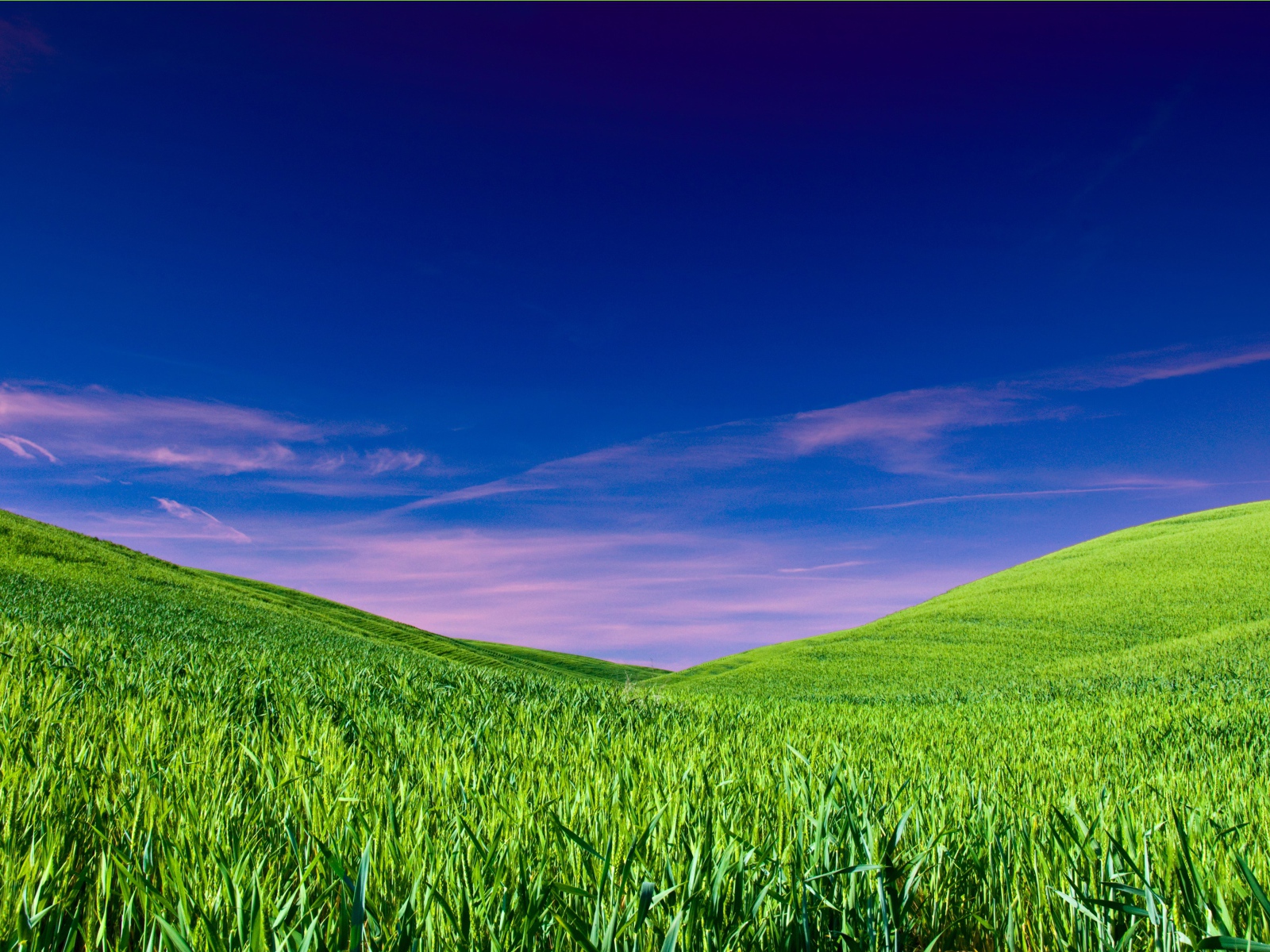 Чистое небо над полем