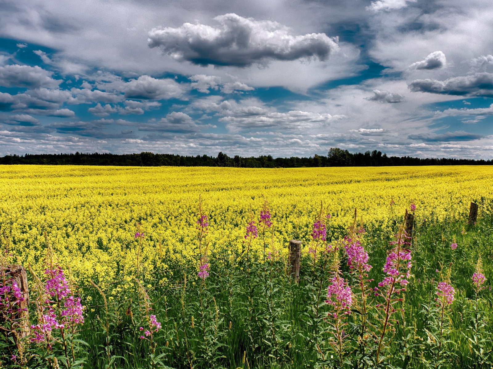Облака над полем