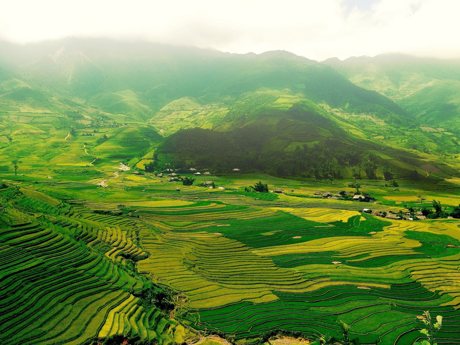Зеленые поля в горной долине