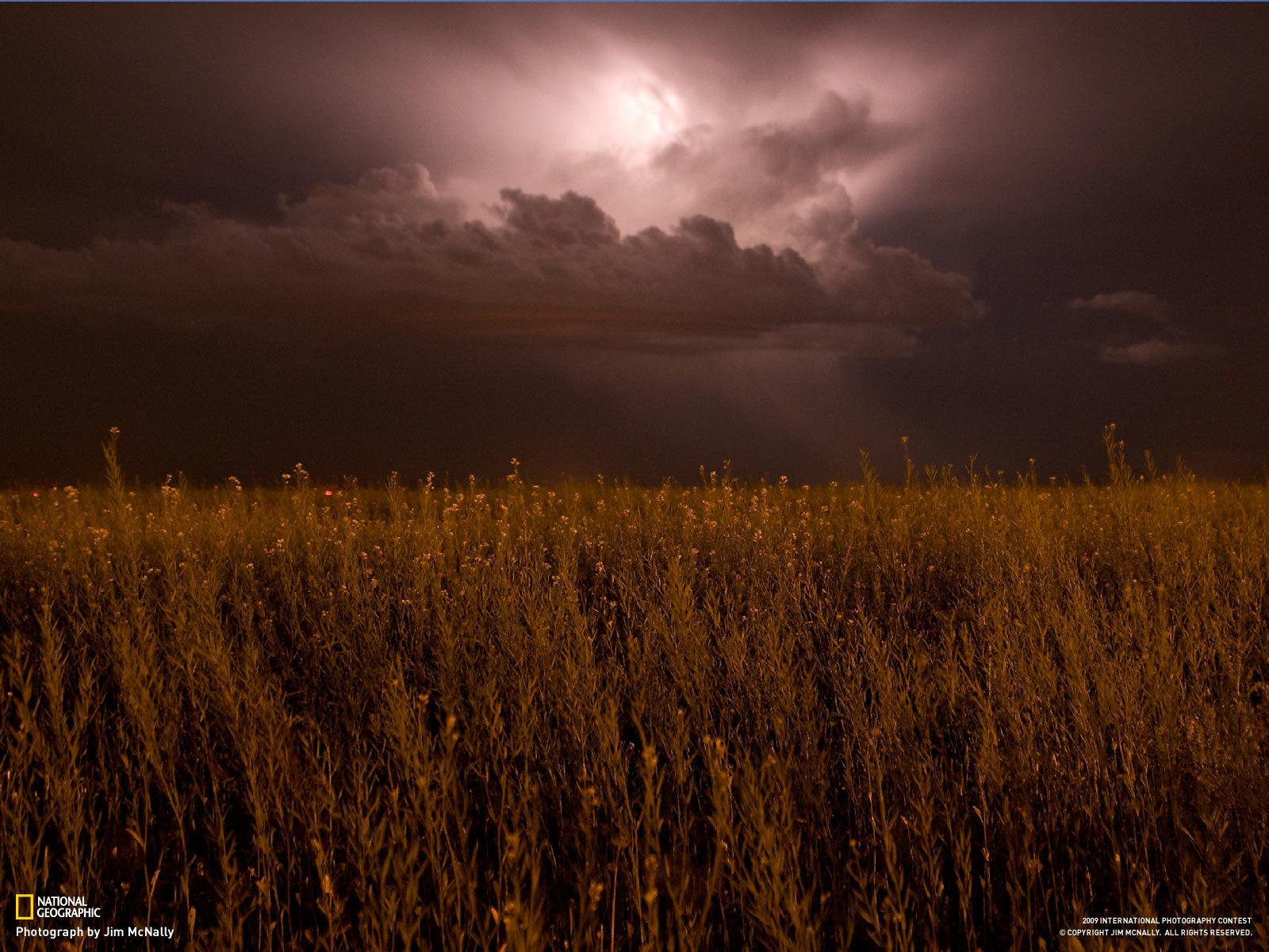 На поле надвигается гроза