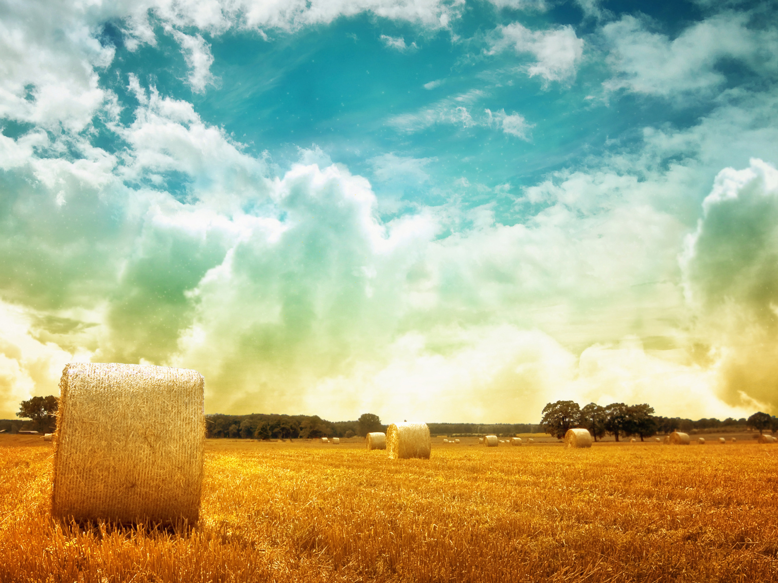 Скошенное поле