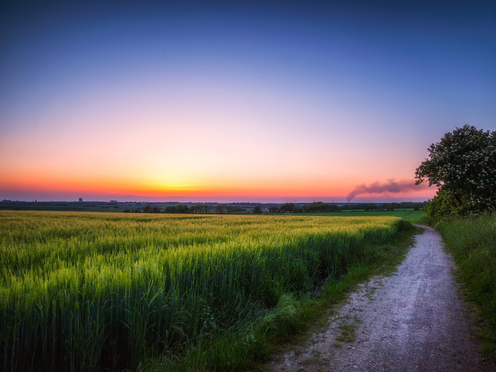 Дорога по краю поля