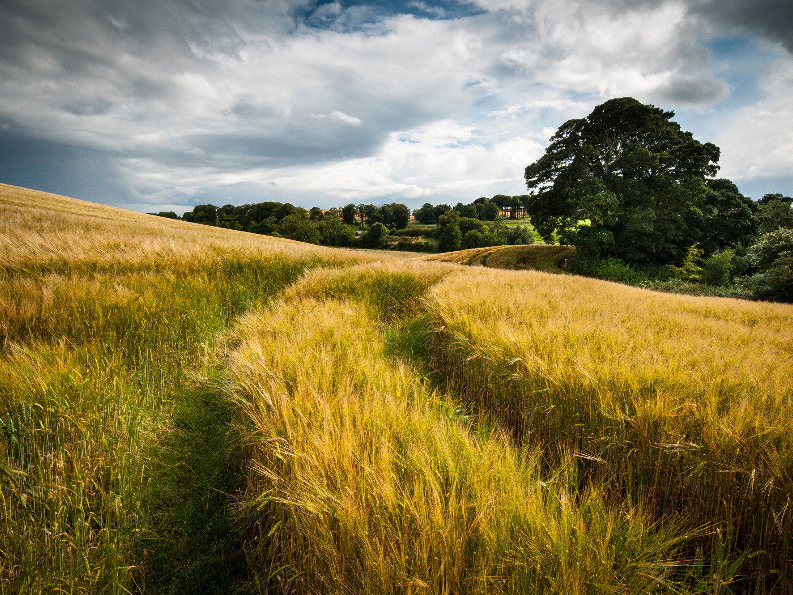 След от автомобиля