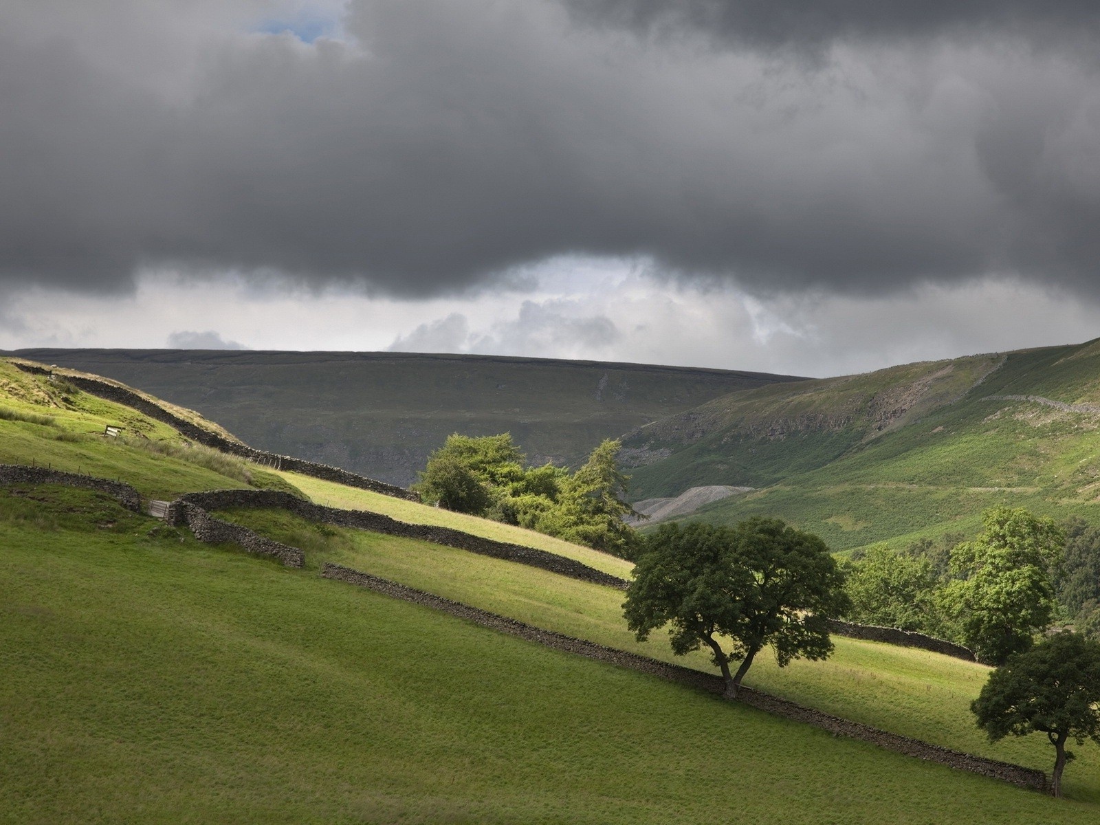 Поля огороженные заборами