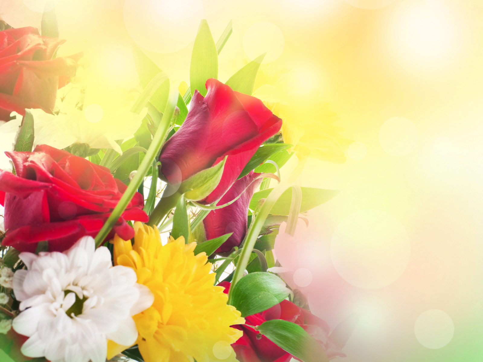 Хризантема и роза красивый букет